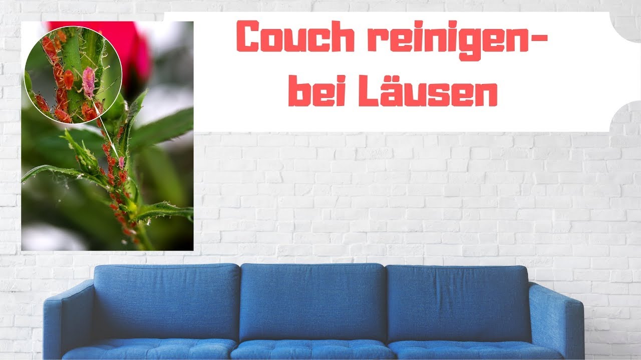 Couch Reinigung - Couch reinigen ++ Testsieger ++ Top 5 ...